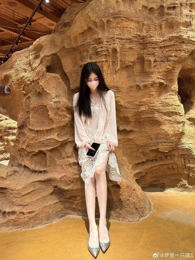 照片精美绝伦！梦里一只喵图库不容错过的图包