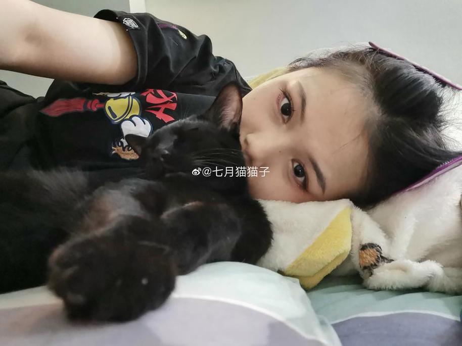 精心挑选的七月喵子裙子壁纸图片，让你的桌面重焕活力